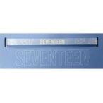 中古モバイル雑貨 SEVENTEEN スマートフォンストラップ 「2020 SVT 4th FAN MEE