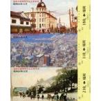 中古紙製品 西日本鉄道 福岡市制90周年記念乗車券(3枚セット/500円分)