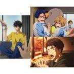中古キャラカード 全3種セット オフショットブロマイド 「劇場版 Free!-the Final Stroke-