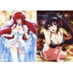 中古キャラカード リアス＆朱乃A ブロマイド2枚セット 「くじ引き堂 ハイスクールD×D
