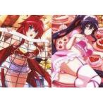 中古キャラカード リアス＆朱乃B ブロマイド2枚セット 「くじ引き堂 ハイスクールD×D