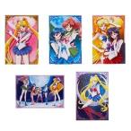 中古ポストカード(キャラクター) セーラー戦士(月) セーラーポストカードコレクション(5枚組) 「美少女戦士セーラームーンCrystal
