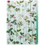 中古クリアファイル ハーバリウム クリアファイル A4-7