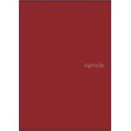  б/у Note * блокнот для заметок B6 man s dia Lee B красный DARKTONE