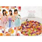 中古クリアファイル(女性アイドル) [単品] AKB48 A4クリアファイル 「AKB48グループ 2014年度オフィシャルカレン