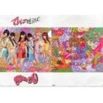 中古クリアファイル(女性アイドル) でんぱ組.inc(正面) A4クリアファイル 「CD WWDD」 TSUTAYA購入特典