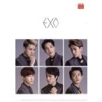 中古クリアファイル(男性アイドル) EXO A4クリアファイル(背景：ホワイト/顔アップ6マス) ロッテ免税店来店特典