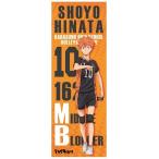 中古クリアファイル 日向翔陽 開閉式ロングホルダー 「ハイキュー!!」