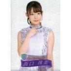 中古クリアファイル 阪口珠美 A5クリアファイル 「乃木坂46 8th YEAR BIRTHDAY LIVE」 WEB S