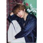 中古クリアファイル 藤原丈一郎(なにわ男子) A4クリアファイル’21夏 「Johnnys’ ISLAND STORE」