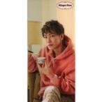 中古クリアファイル 佐藤健 オリジナルクリアファイル ハーゲンダッツ購入キャンペーン