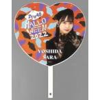 中古うちわ 吉田彩良(STU48) Halloween2022 個別BIGハ