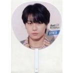  б/у веер "uchiwa" * веер сосна рисовое поле изначальный futoshi jumbo веер "uchiwa" [Travis Japan Concert Tour 2024 Road t
