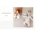 中古単行本(実用) ≪写真集≫ ともだちになろうよ / cami