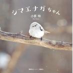 中古児童書・絵本 ≪動物・ペット≫ シマエナガちゃん / 小原玲