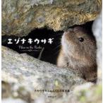 中古単行本(実用) ≪動物・ペット≫ エゾナキウサギ-Pikas in the Rocks