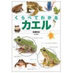 中古単行本(実用) ≪社会≫ くらべてわかるカエル
