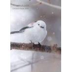  б/у монография ( практическое использование ) { дом ..* исследование жизни .}.......Schedule Book 2026