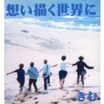 中古単行本(実用) ≪日本エッセイ・随筆≫ 想い描く世界に 愛蔵版 / きむ