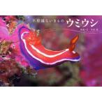 中古単行本(実用) ≪動物学≫ ウミウシ 不思議ないきもの