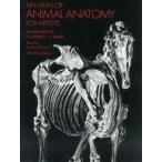 中古単行本(実用) ≪洋書≫ An Atlas of Animal Anatomy for Artists
