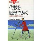 中古新書 ≪数学≫ 代数を図形で解く 直感でわかる数学の楽し