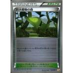 巨大植物の森の出品写真