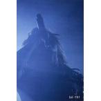 中古コレクションカード(男性) 【p】-721：ナイトメア/YOMI/「FC LIMITED LIVE 2009」会場限定販売 Official Tr