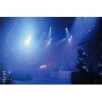 中古コレクションカード(男性) 【p】-734：ナイトメア/集合/「FC LIMITED LIVE 2009」会場限定販売 Official Tr