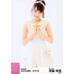 中古生写真(AKB48・SKE48) 宮脇咲良/膝上/AKB48 2016年3月度 net shop限定個別生写真 「2016.03」「パステル衣装」