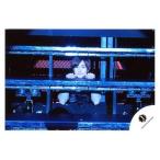 中古生写真(ジャニーズ) Mr.King vs Mr.Prince/平野紫耀/横型・上半身・衣装黒・両手台・隙間覗き・体正面/公式生写真