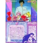 Yahoo! Yahoo!ショッピング(ヤフー ショッピング)中古アニメ系トレカ 399[ノーマル]：あたしのまもるちゃん