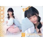 中古アイドル(AKB48・SKE48) [レギュラーカード【うた