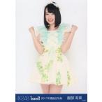 中古生写真(AKB48・SKE48) 服部有菜/膝上/2017年 AKB4