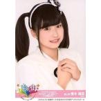 中古生写真(AKB48・SKE48) 橋本陽菜/バストアップ/「T