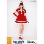 中古生写真(AKB48・SKE48) 野島樺乃/全身・クリスマス