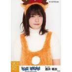 中古生写真(AKB48・SKE48) 酒井萌衣/上半身・クリスマ