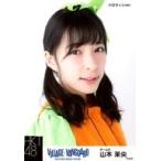 中古生写真(AKB48・SKE48) 山本茉央/バストアップ・ハ