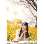 中古生写真(AKB48・SKE48) 00914：太野彩香/「2017.AP
