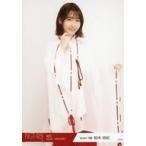 中古生写真(AKB48・SKE48) 柏木由紀/膝上/2018年 NGT4