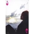 中古コレクションカード(男性) アリス九號.(Alice Nine)/将/ハートのA/「alicenine.tour2007 BLACK JEWEL