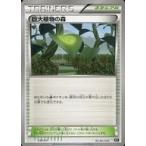 巨大植物の森の出品写真