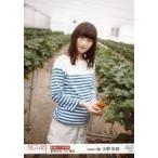 中古生写真(AKB48・SKE48) 02057：太野彩香/「2018.FE