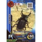 中古ムシキング M-3-13[R]：オオクワガタ