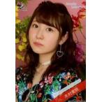 中古生写真(女性) Someday Somewhere/木村美咲/バスト