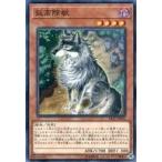 中古遊戯王 SAST-JP030[NR]：孤高除獣