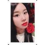 中古コレクションカード(女性) TWICE/チェヨン/白枠/CD「YES or YES」封入特典フォトカード