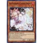 中古遊戯王 SHVA-EN047[SR]：Ash Blossom ＆ Joyous Spring/灰流うらら