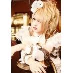 中古生写真(男性) D/Ruiz