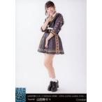 中古生写真(AKB48・SKE48) B：山田寿々/山本彩卒業コ